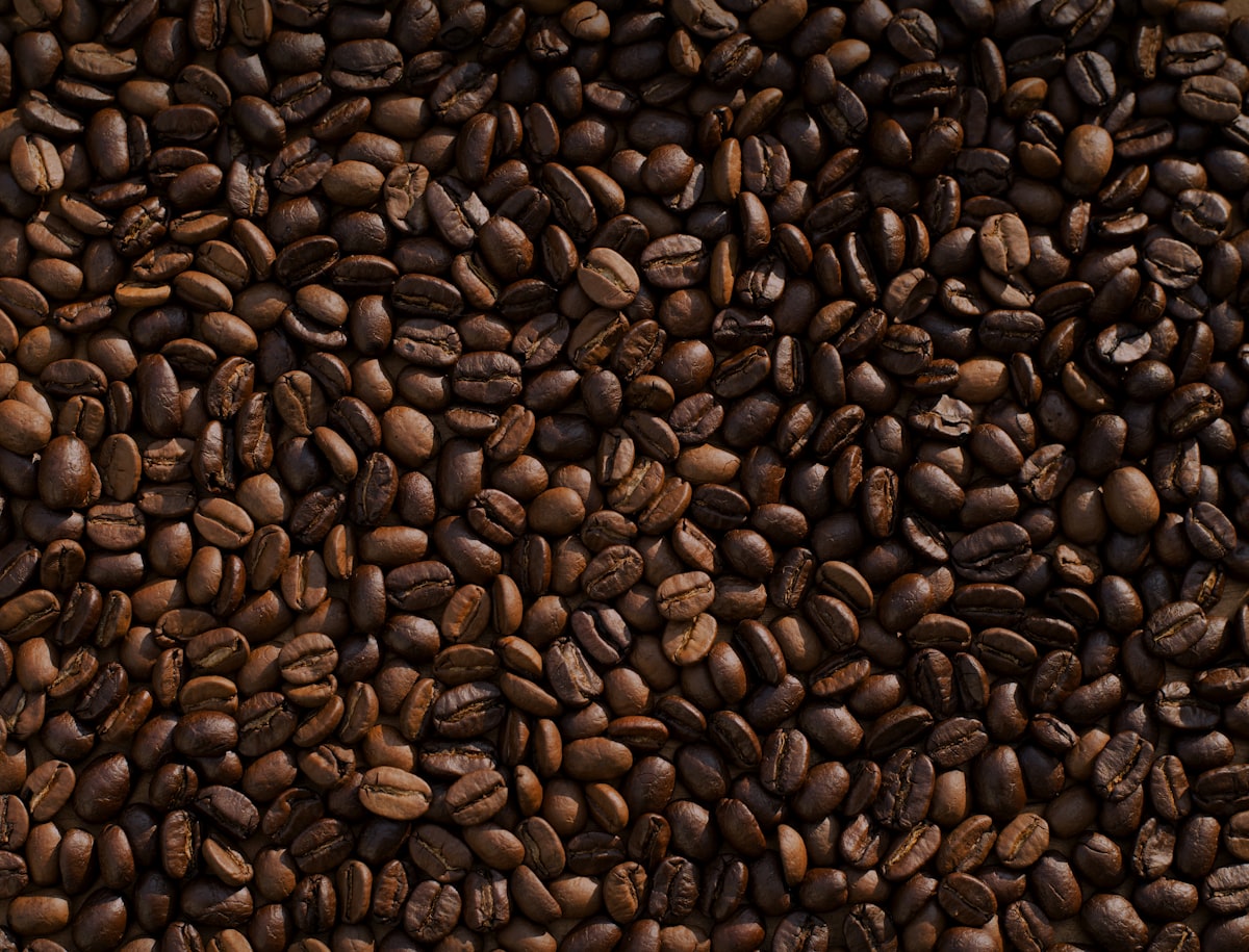 A bed of freshly roasted coffee beans, close and warm.